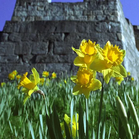 Fossgate Bridge Appartement *